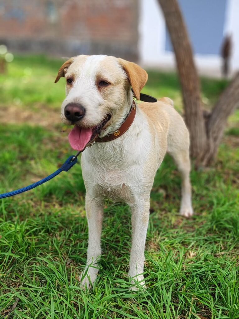 saveclip.app 557637109 17853932295544461 8280189597826282621 n