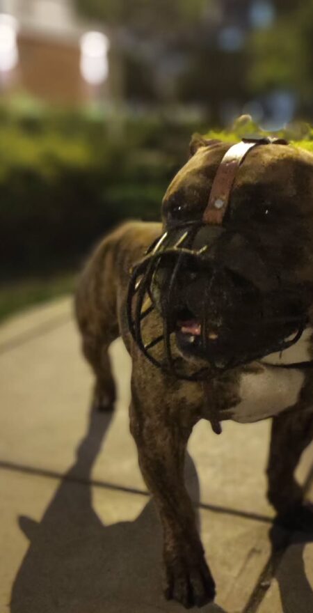 saveclip.app 566070935 17855851917544461 2075935574023791686 n